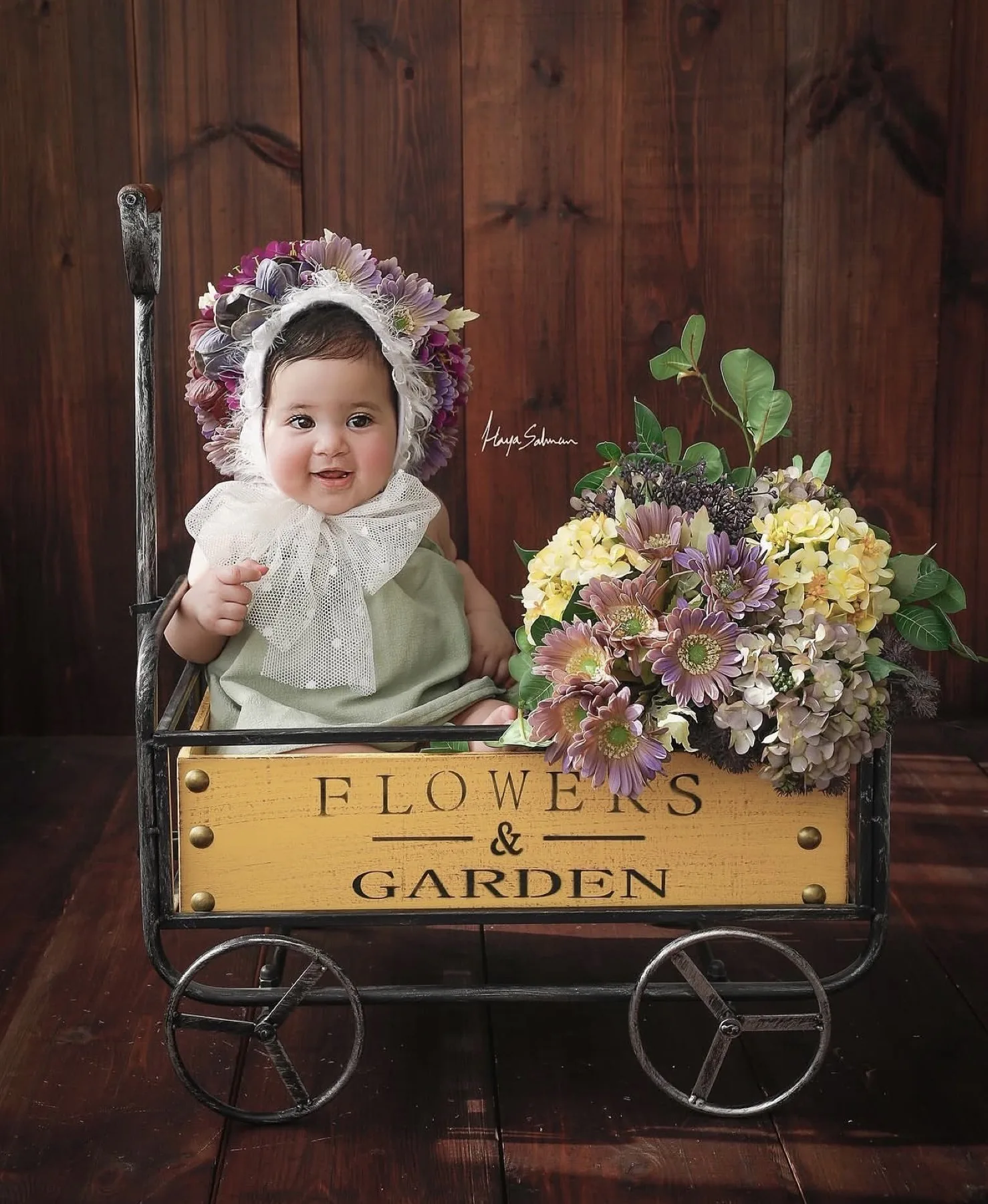 Leaf Studio – Mood 3